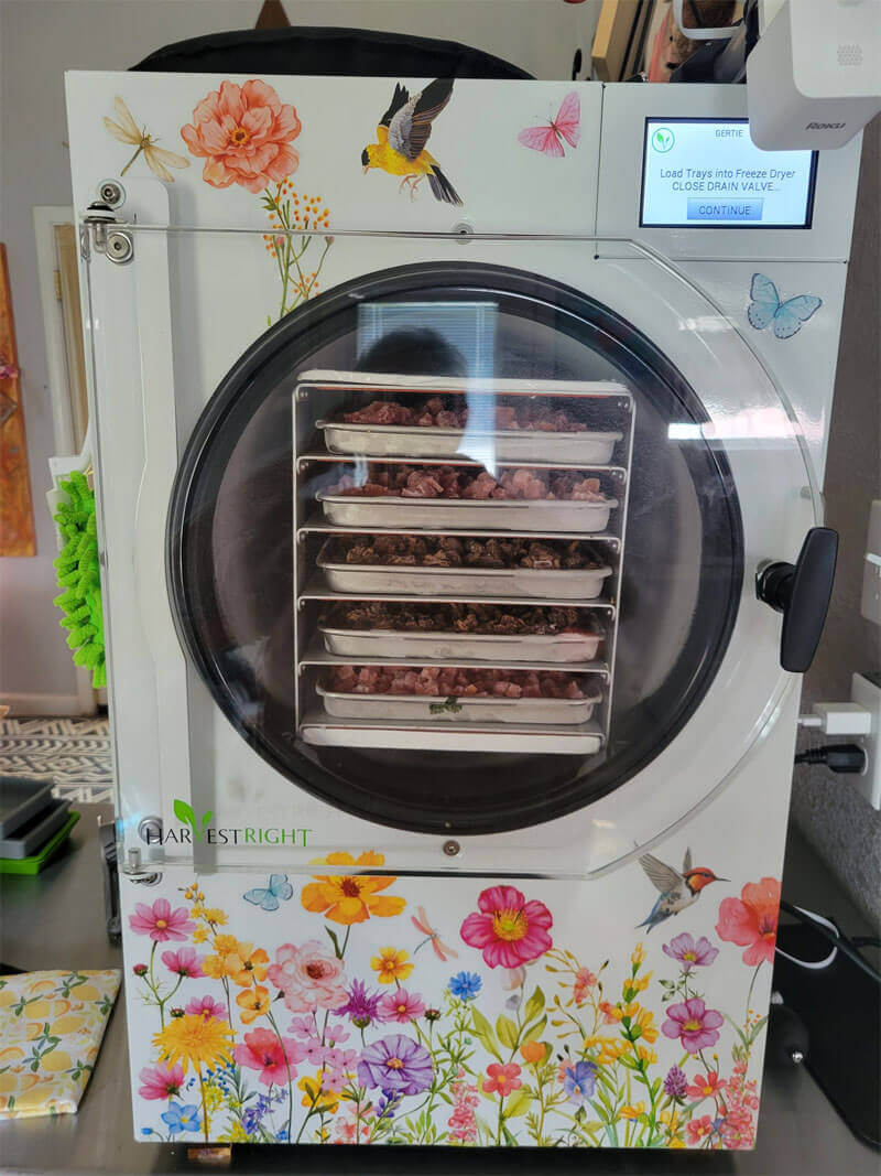 đánh gia về máy sấy thăng hoa mini trong bếp