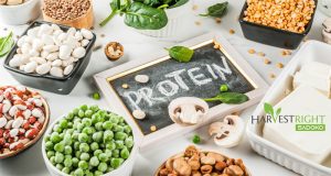 Sấy Thăng Hoa Thực Phẩm Giàu Protein