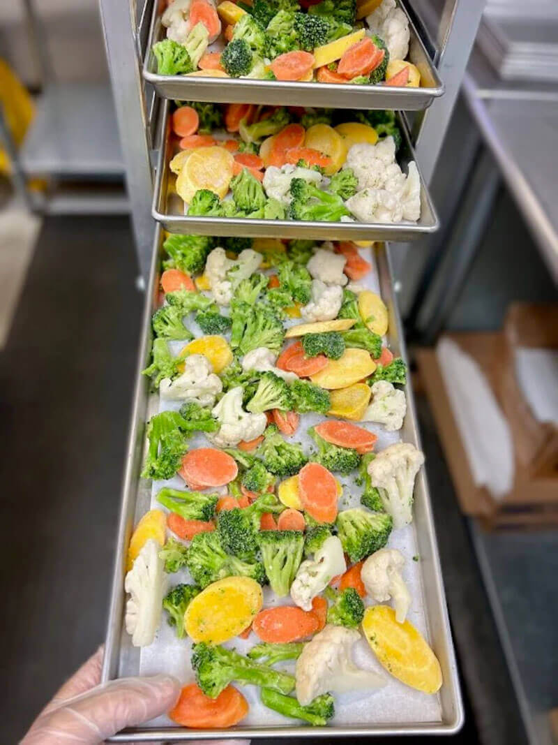 Hướng dẫn cách sấy thực phẩm bằng máy sấy thăng hoa mini