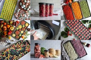 Sử dụng máy sấy thăng hoa mini để làm nấm và trái cây luôn tươi ngon