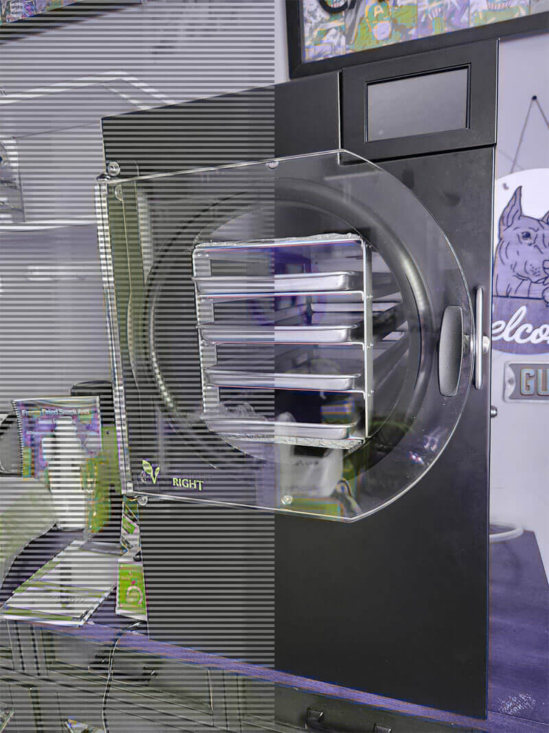 Lợi ích khi mua máy sấy thăng hoa mini cho gia đình