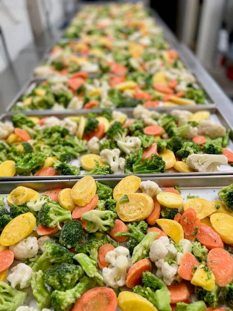 Lợi ích chi tiết của sấy thực phẩm bằng máy sấy thăng hoa mini