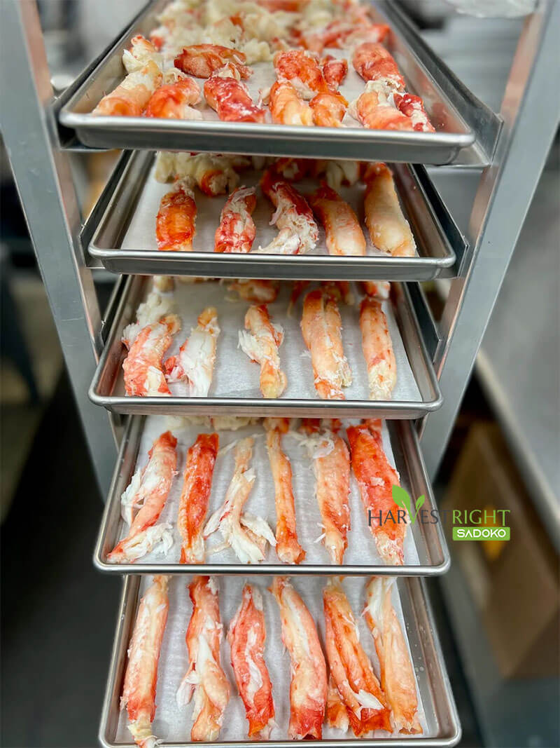 Lợi Ích Nổi Bật Của Sấy Thăng Hoa Đối Hải Sản và Protein