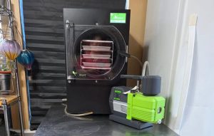 Máy Sấy Thăng Hoa Mini Sấy Được Gì? Hướng Dẫn Toàn Diện A-Z