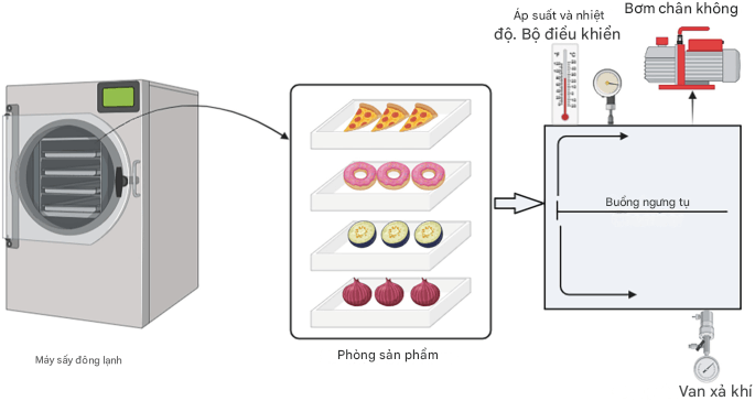 quy trình sấy đông lạnh
