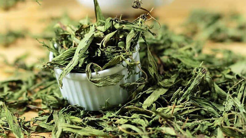 sấy thăng hoa các loại thảo dược