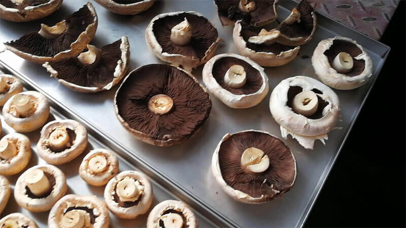 Ứng dụng công nghệ sấy thăng hoa cho trái cây tươi