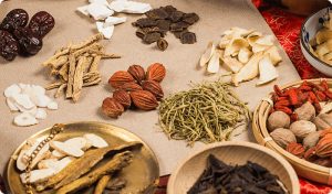 ứng dụng sấy thăng hoa bảo toàn dược tính thảo dược