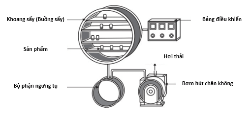 Cơ chế bảo toàn cấu trúc tế bào của máy sấy thăng hoa