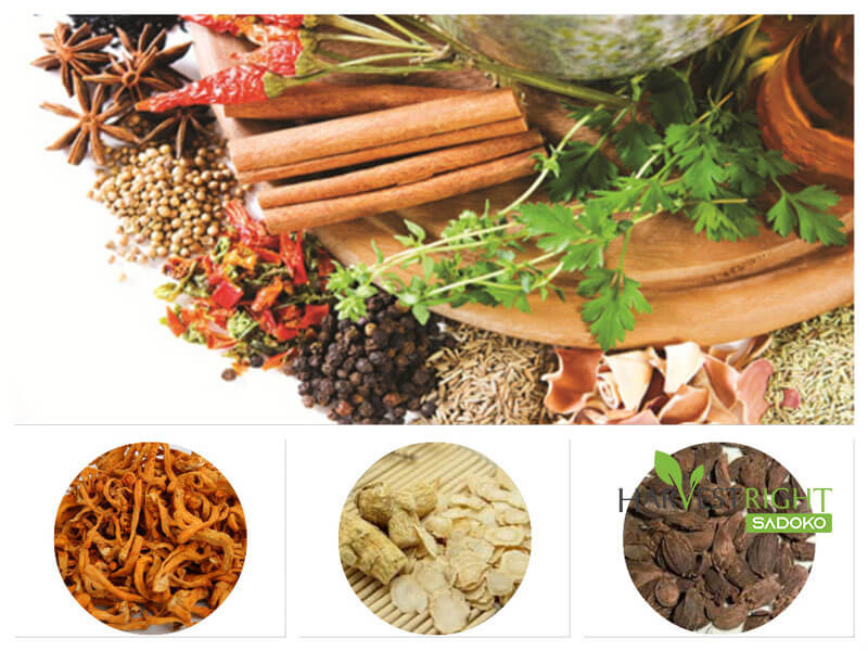 Lợi Ích Cốt Lõi Tạo Nên Sức Hút Của Sản Phẩm Sấy