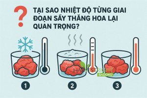 Kiểm soát nhiệt độ từng giai đoạn sấy thăng hoa (freeze-drying)