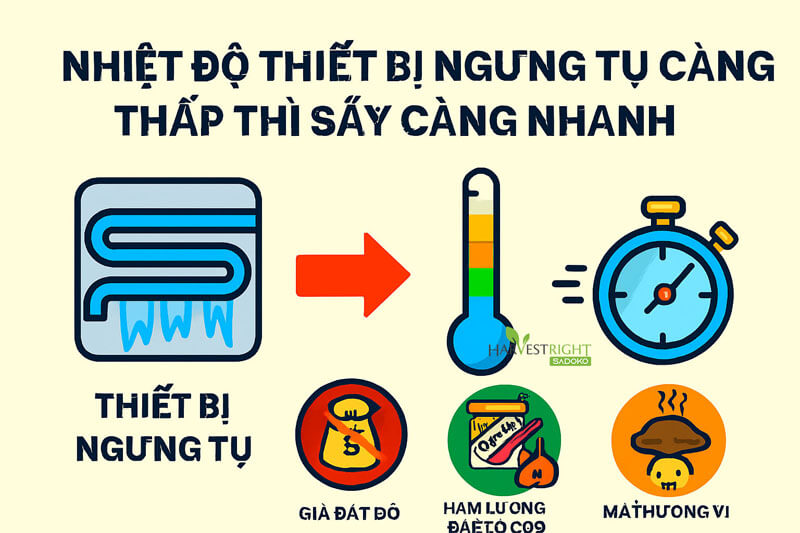 Nhiệt Độ Thiết Bị Ngưng Tụ Càng Thấp Thì Sấy Càng Nhanh