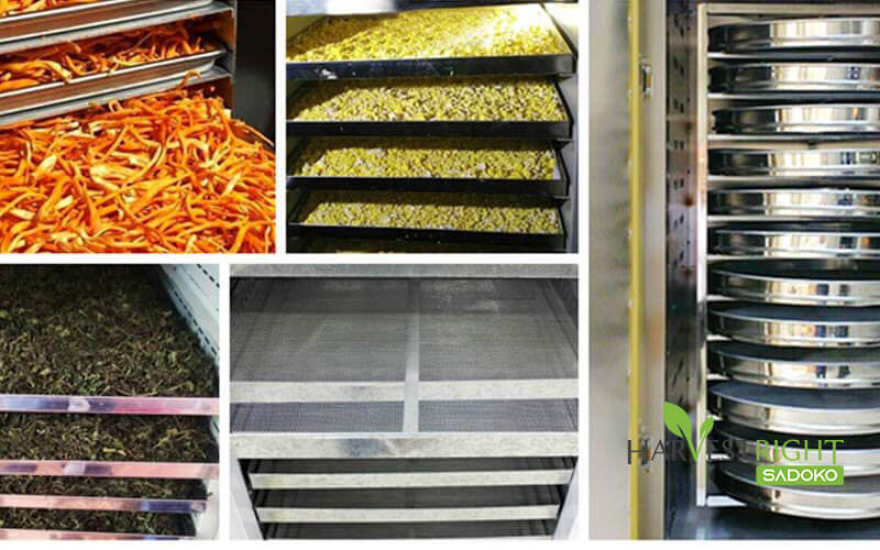 Ứng dụng máy sấy thăng hoa trong sản xuất dược liệu