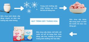 Cách máy sấy thăng hoa giúp bảo toàn cấu trúc tế bào thực phẩm