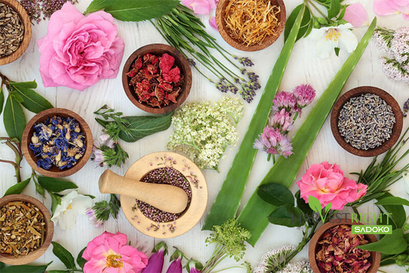 Thực phẩm sấy tự nhiên – Lựa chọn 'sạch' và 'thông minh'