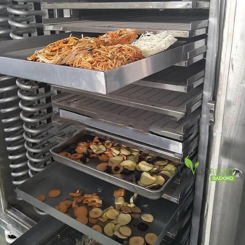 Ứng dụng thực tế và triển vọng đầu tư: Giá trị bền vững
