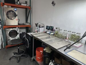 Làm Thế Nào Tận Dụng Máy Sấy Thăng Hoa Mini Để Kinh Doanh Nhỏ